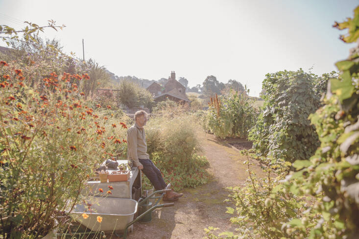 How to Find the Best Online Gardening Classes to Suit Your Needs