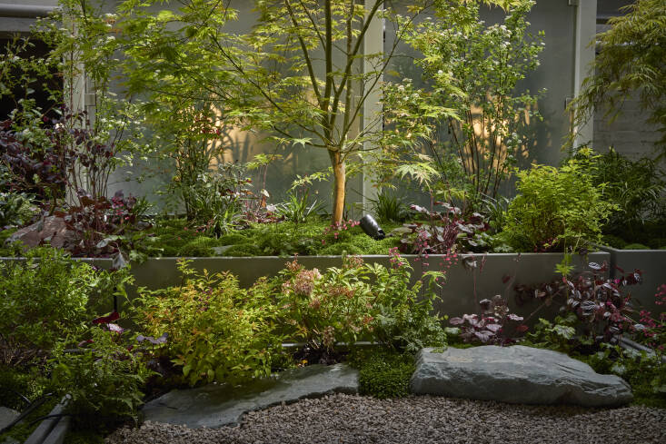 Small Gardens, Big Ideas: Lessons From This Year’s Society of Garden Designers Awards Finalists