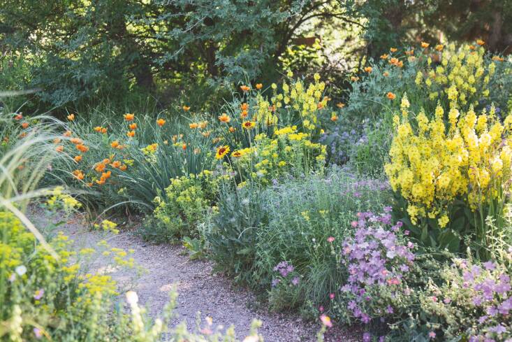 Required Reading: ‘Your Natural Garden’ by Kelly D. Norris