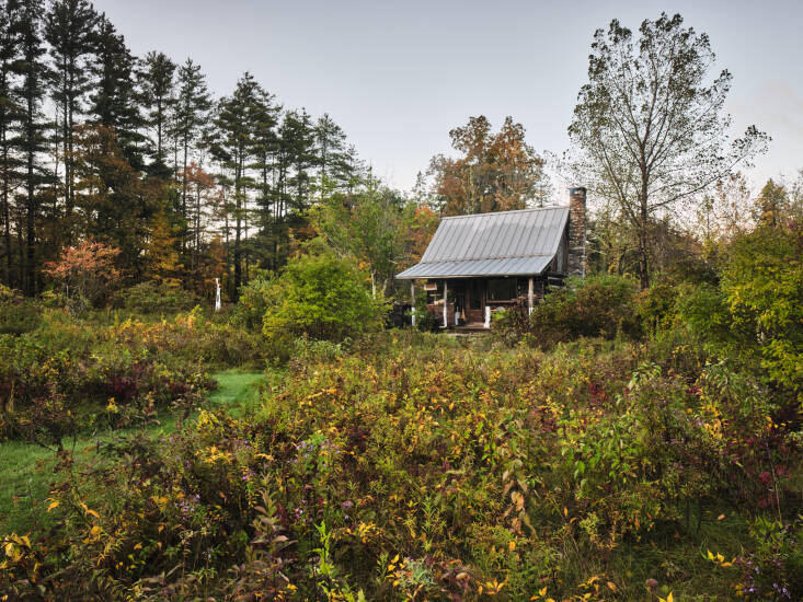 ‘Not Really a Garden at All’: Artist John-Paul Philippe’s Lightly Edited Landscape in Connecticut