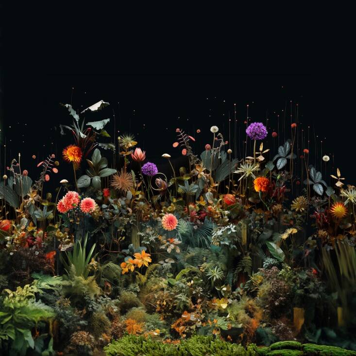 ‘Night Gardens’: Floral Dreams by Artist Mary Mattingly