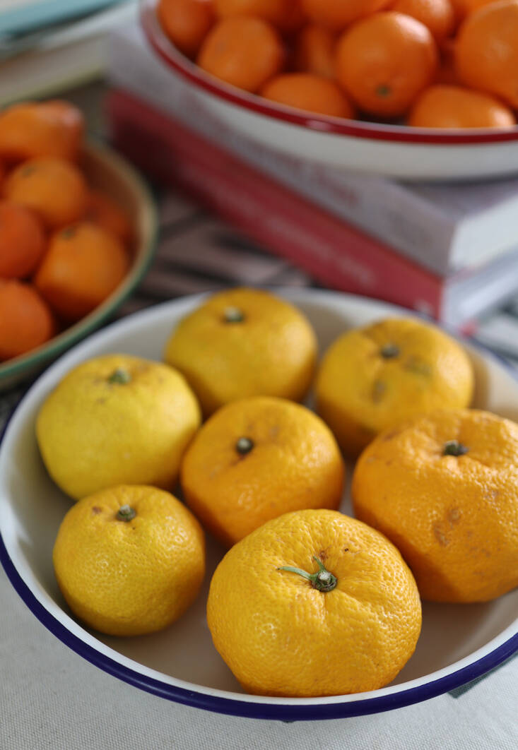 Yuzu Syrup: It’s a Tea, a Marmalade, and a Tonic